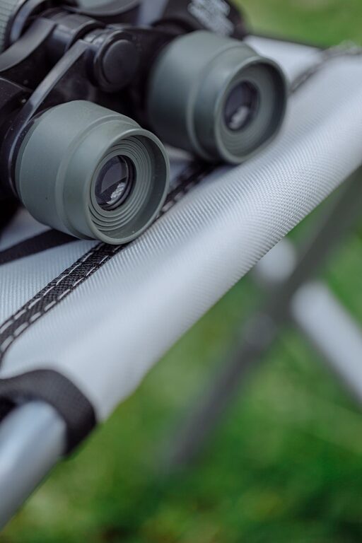 Beginner Tips for Backyard Birdwatching